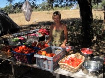 vegetable market at home