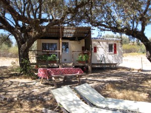 de eigen tuin met buitenmeubels