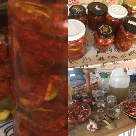 9F04CEB4-54DC-4064-9F16-14BA8D0B798C